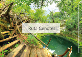 Ruta de los Cenotes
